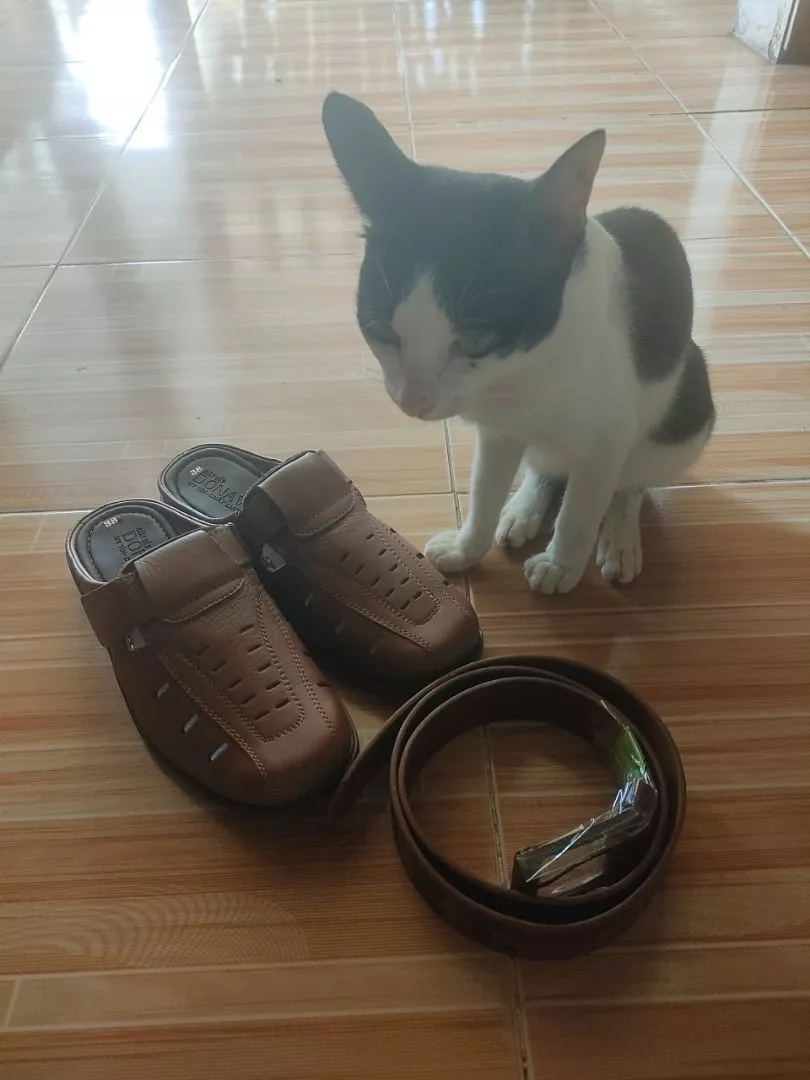 {KM Tặng Kèm Vớ Sịn} Giày Lười Nam Da Bò Thật DONAVY Kiểu Sa-Bo May Quai Xuống Đế Chắc Chắn, Có Lỗ Thoáng Khí D.GSB