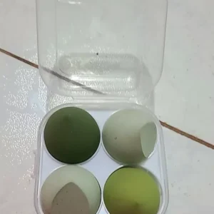 Hộp 4 mút trang điểm, đánh kem nền, phấn phủ sử dụng được dạng khô, ướt